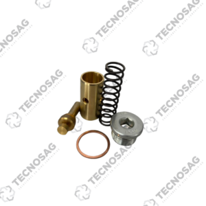BOGE OIL REGULATOR KIT (2420425667P)